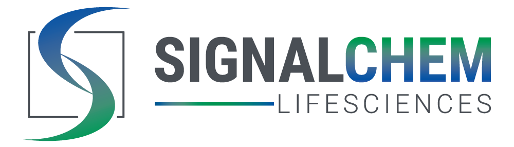 2mag AG logo